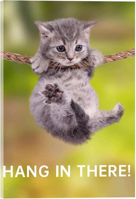 cat poster hang in there|cat picture hang in there.